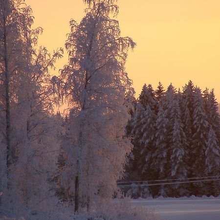 Villa Tiirinkallio Нильсия Номер фото