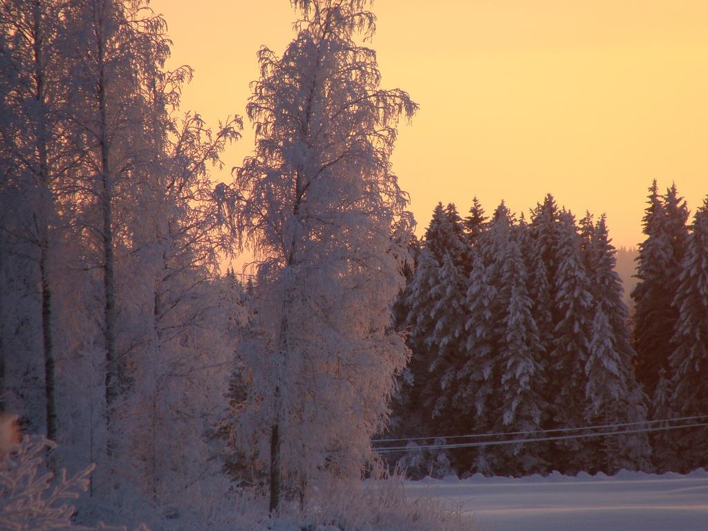 Villa Tiirinkallio Нильсия Номер фото