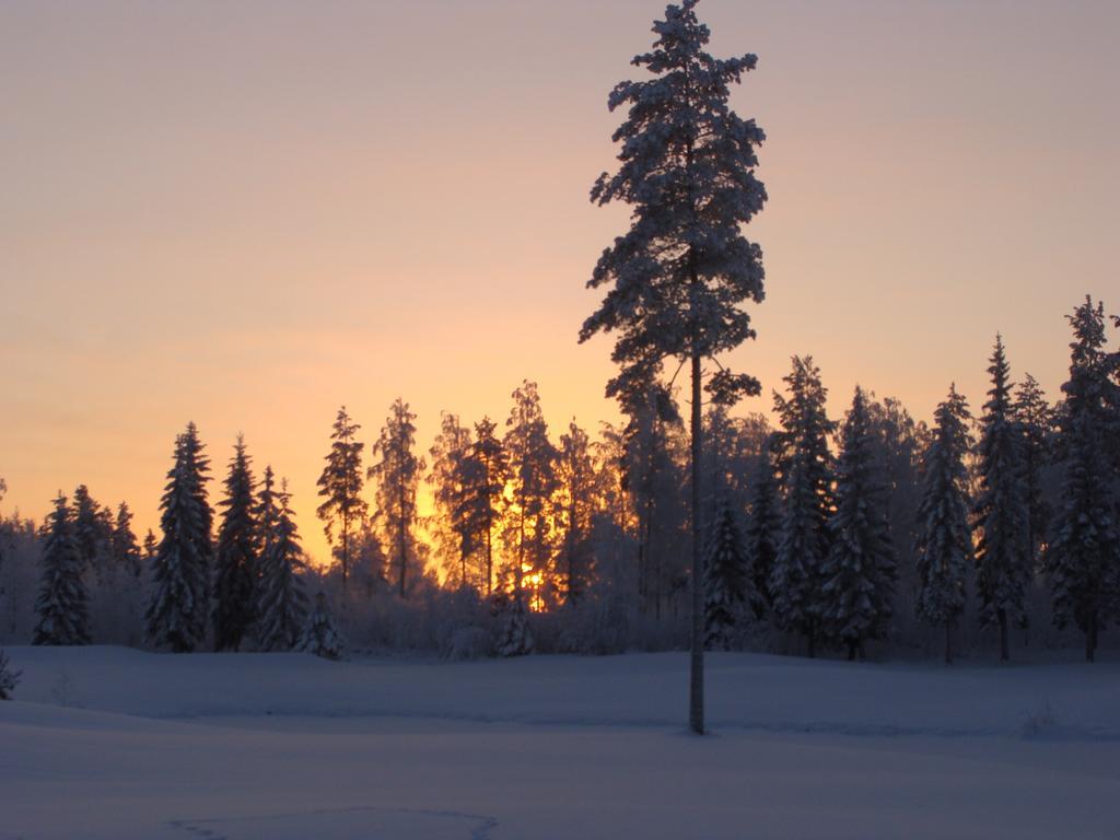 Villa Tiirinkallio Нильсия Номер фото