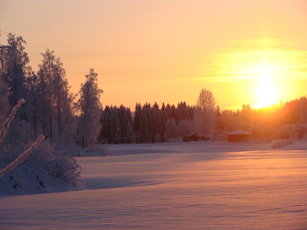 Villa Tiirinkallio Нильсия Экстерьер фото