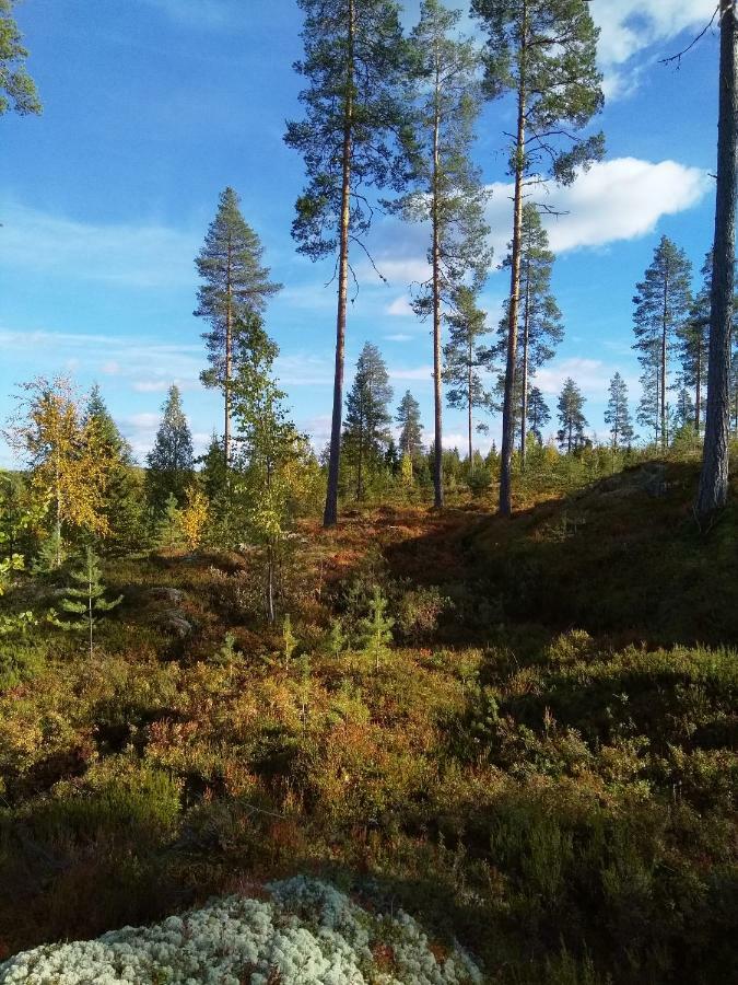 Villa Tiirinkallio Нильсия Экстерьер фото
