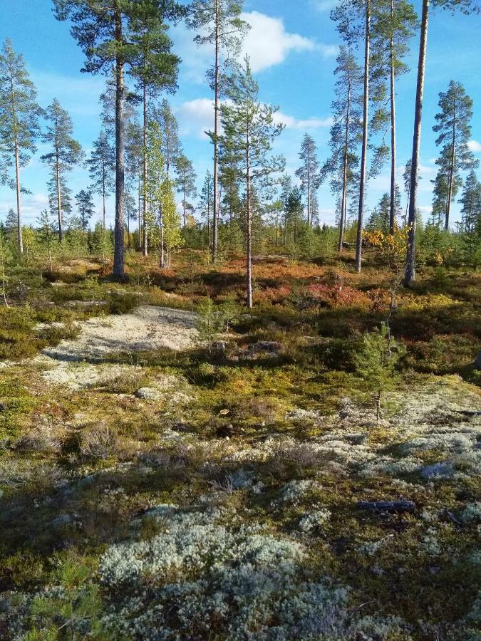 Villa Tiirinkallio Нильсия Экстерьер фото