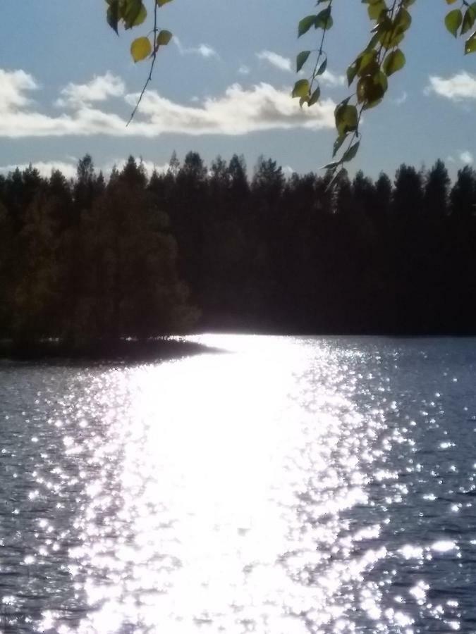 Villa Tiirinkallio Нильсия Экстерьер фото